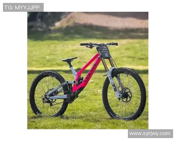 深圳极限运动队荣登灵活性排行榜第三名引发关注与讨论