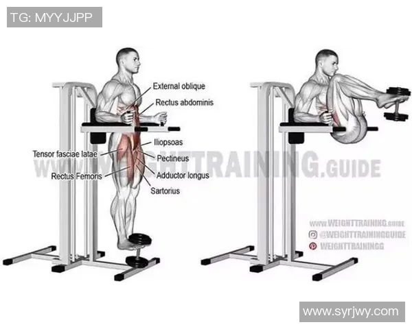 炼腰健身器材种类及锻炼效果全面分析